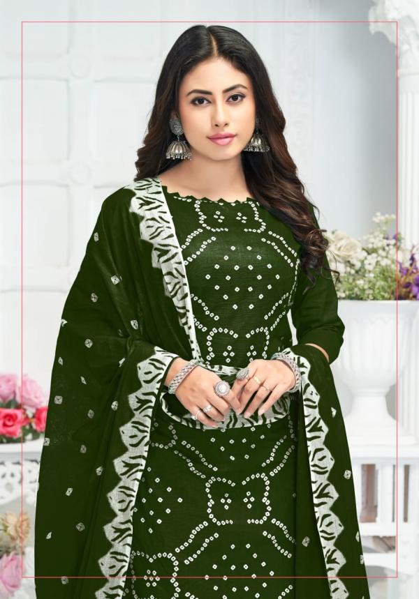 Mayur Pehnava Vol-03 – Dress Material - Wholesale Catalog